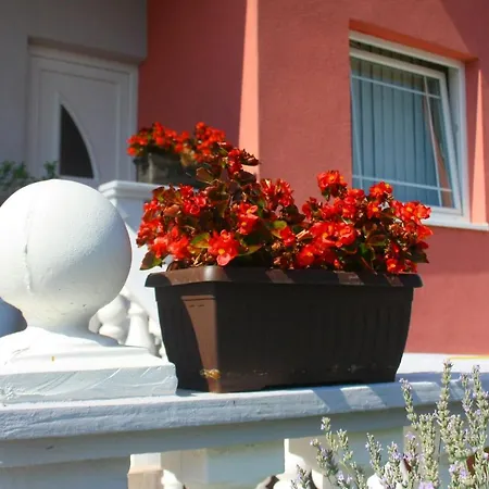 Kus, Biograd Vendégház *